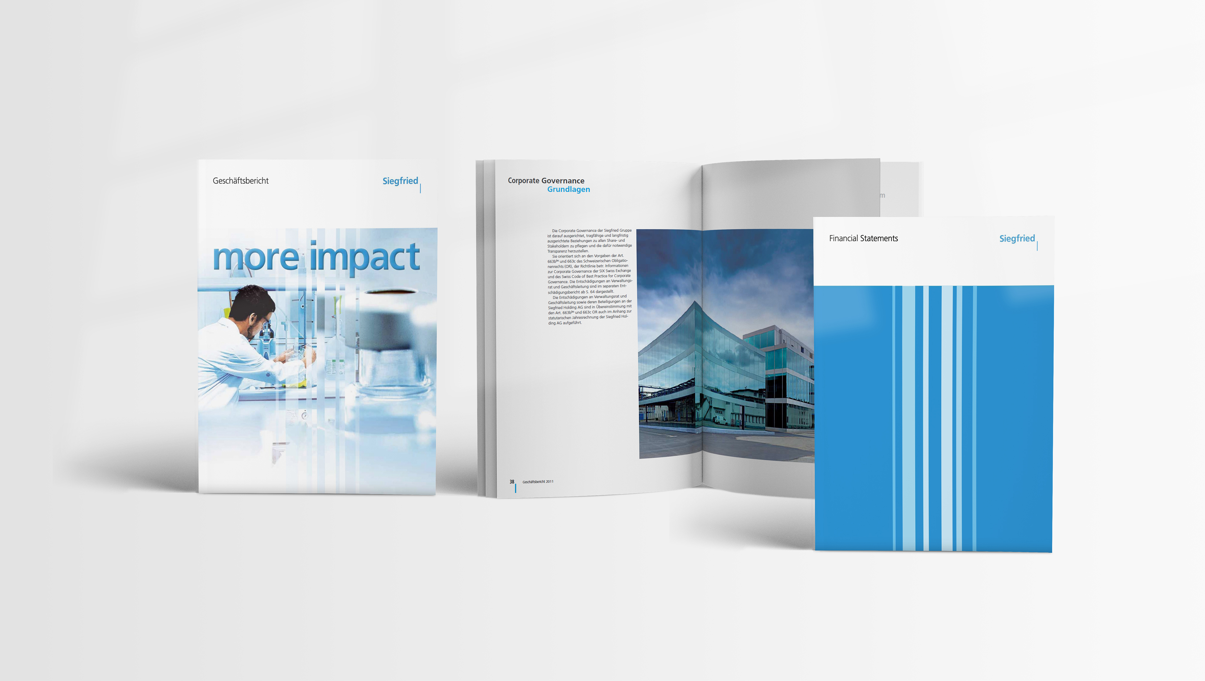 Branding and annual report by BBF